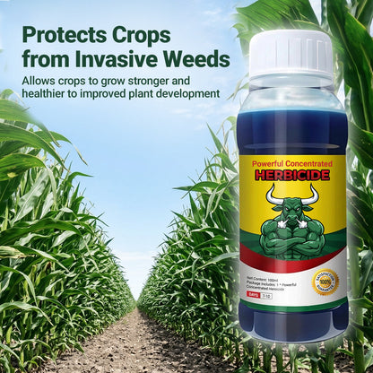 Powerful Concentrated Herbicide
