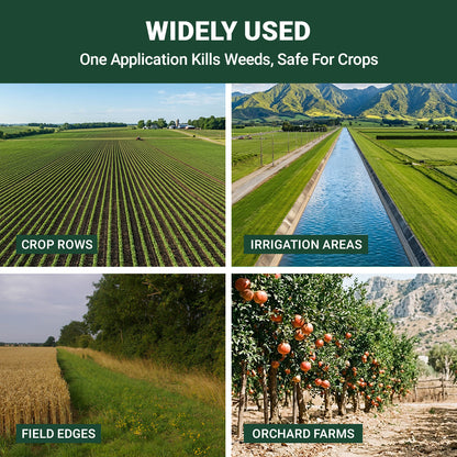Powerful Concentrated Herbicide