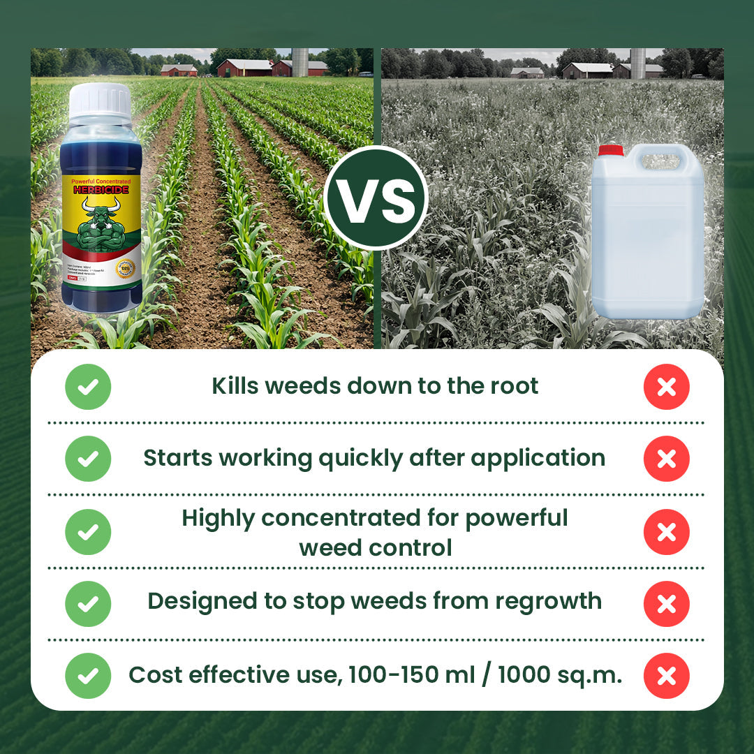 Powerful Concentrated Herbicide